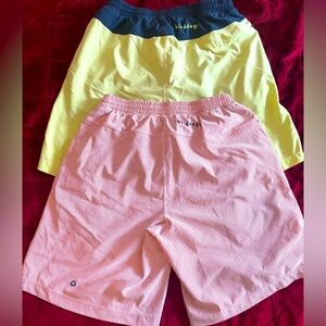 2 Pairs of Birddogs Sz Large Swim trunks